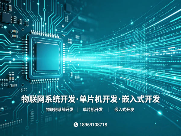 常州物联网系统开发 | 数据采集系统开发服务指南