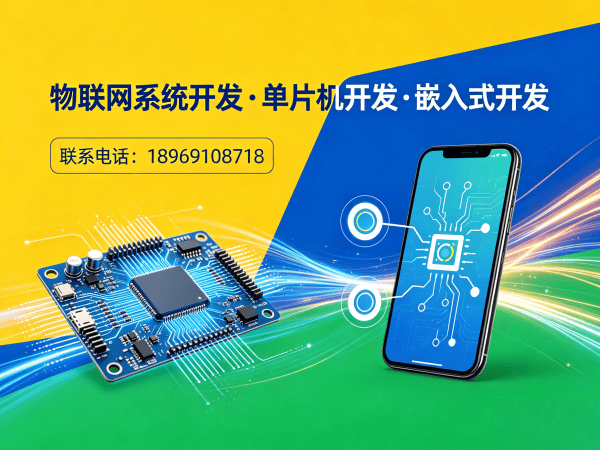 合肥物联网工程师智能养老监测系统开发服务指南
