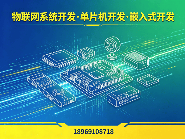 常州物联网开发嵌入式AI开发解决方案